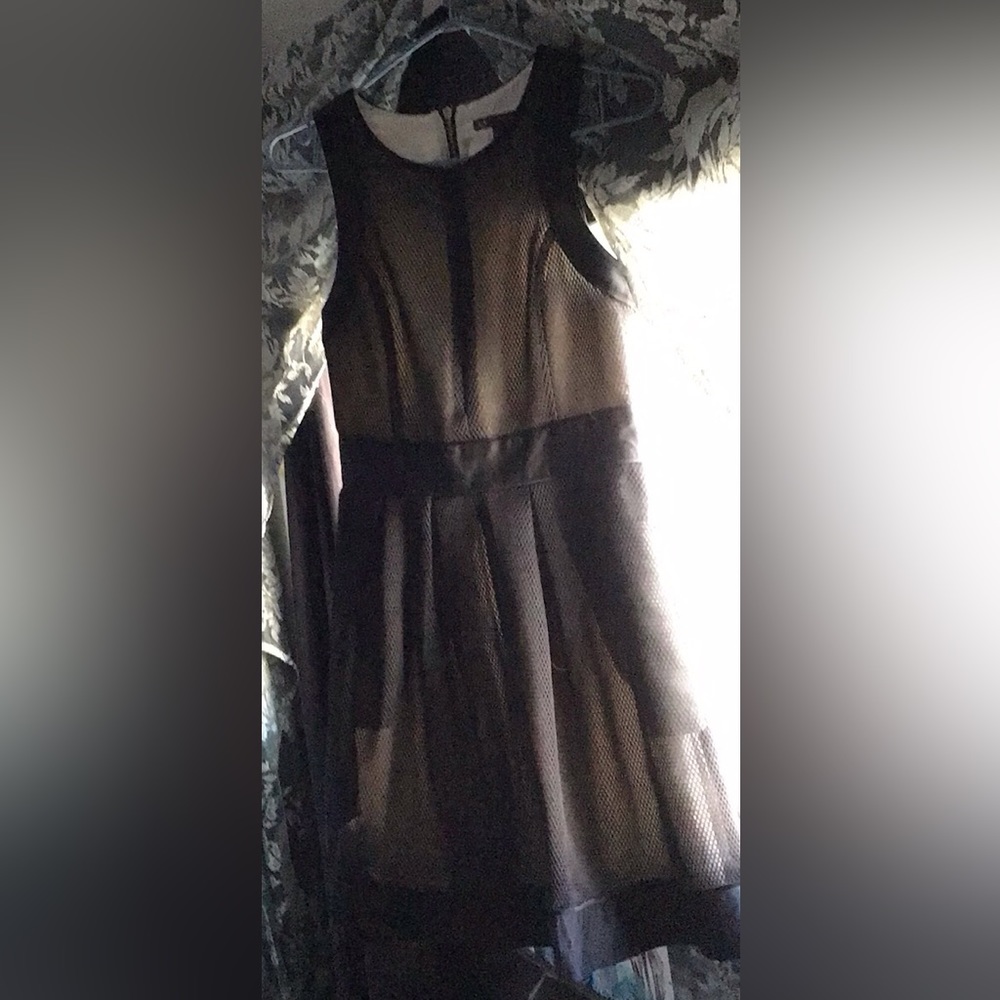Armani Exchange netted, black and cream dress